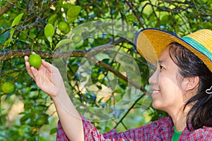 Female agriculturist hand holding fresh lemon