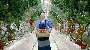 Female agriculturist is smiling while holding a box of ripe tomatoes