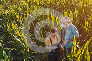 Female agronomist advising corn farmer in crop field