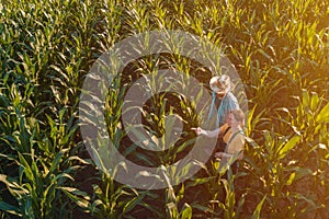 Female agronomist advising corn farmer in crop field