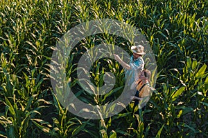 Female agronomist advising corn farmer in crop field