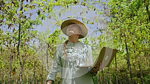 Female agronomist inspecting spoiled bad harvest on vegetable farm. Caucasian woman farmer walks in dried leaves orchard