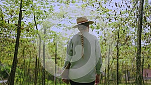 Female agronomist inspecting spoiled bad harvest on vegetable farm. Caucasian woman farmer walks in dried leaves orchard