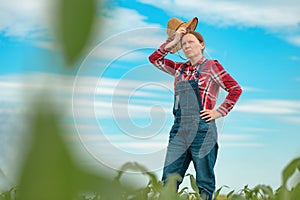 Female agronomist standing in corn field and looking over crops