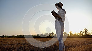 Female agronomist using digital tablet at wheat meadow at dusk. Farmer monitoring harvest at barley field at sunset