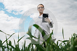 a female agronomist in a white coat checks the growth of plants in the field. A biologist in the field checks the readings of