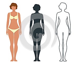Female anatomy human character, people dummy front and view side body silhouette, isolated on white, flat vector illustration