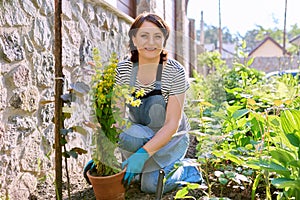 Female in an apron of gardening gloves with a shovel planting flowering plants