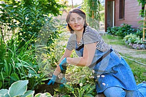 Female in an apron of gardening gloves with a shovel planting flowering plants