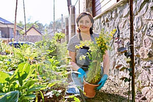 Female in an apron of gardening gloves with a shovel planting flowering plants