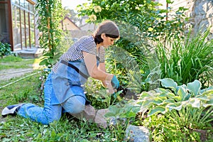 Female in an apron of gardening gloves with a shovel planting flowering plants