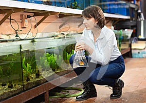 Female aquarist looking for fish