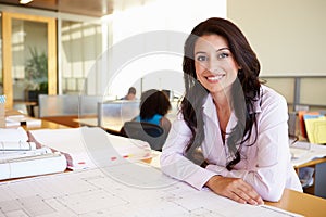 Female Architect Studying Plans In Office