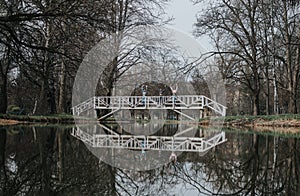 Female athletes in active wear exercising strength on a park bridge