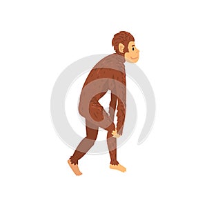 Female Australopithecus, Biology Human Evolution Stage, Evolutionary Process of Woman Vector Illustration photo
