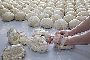 Female baker kneading dough photo