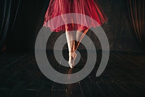 Female ballet dancer legs in pointes