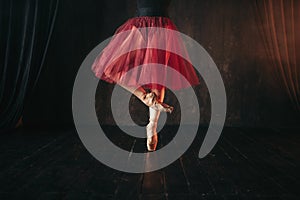 Female ballet dancer legs in pointes