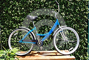 Female bicycle photo