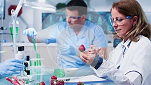 Female bio researcher injecting GMO into strawberries