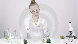 Female biochemical Researcher drips liquid reagent on leaf of GMO plant in lab