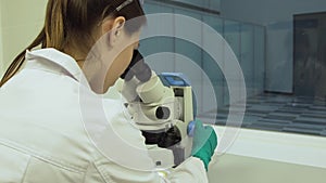 Female biologist looks in a microscope
