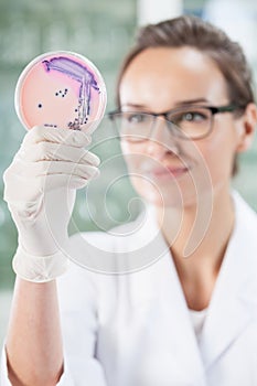 Female biologist working at laboratory