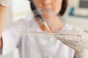 Female biotechnology medical scientist using working with micro pipette pipetting loads liquid sample in laboratory