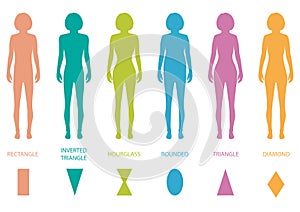 female body types