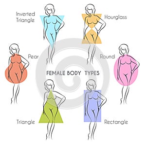 Female Body Types photo