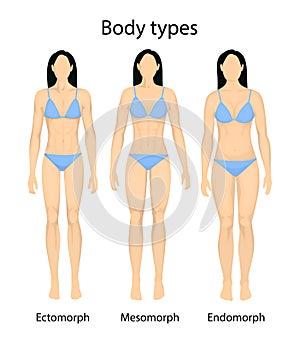 Female body types.