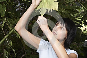 Female Botanist Examining Leaf