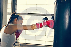 Female Boxer At Training