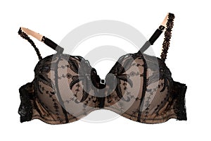 Female bra black with beige. Isolate on white