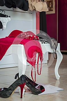 Female bra and underwear on the couch