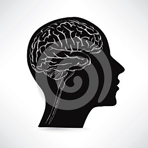 Female brain. Thinker concept. Vector sketch illustration.
