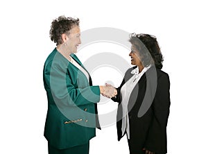 Female Business Team Shake Hands