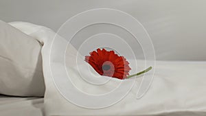 Female chambermaid putting flower on fresh bed-linen in hotel room, cleanness