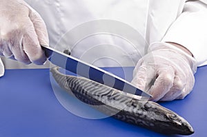 Female chef prepares a trout