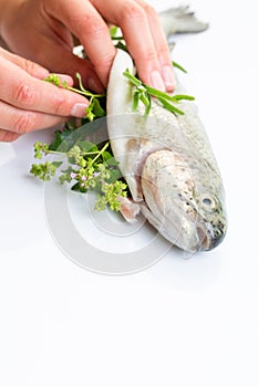 Female chef's hands stuffing a freshly cought trout