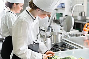 Female chefs at work in system catering