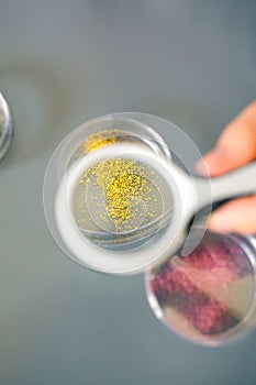 Female chemist hand holding magnifying glass to analyze golden glitter sample on petri dish in lab