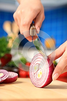 Female chopping food ingredients. photo