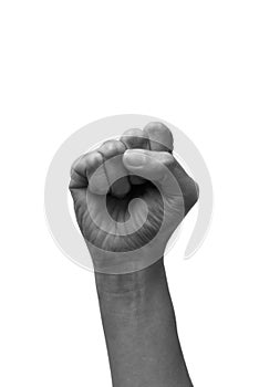 Female clenched fists raised in protest, isolated on a white background. Black and white tone. Proletarian protest symbol