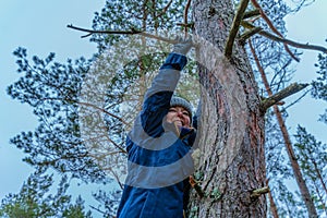 Female climbing on the pine tree. Smiling mature woman hanging on branch. Winter outdoor visible sky and tree tops