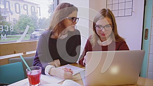 Female college students studies in the cafe two girls friends learning together