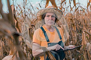 Female corn farmer using digital tablet in cornfield, smart farming