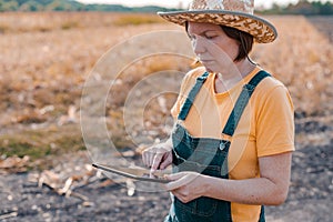 Female corn farmer using digital tablet in cornfield, smart farming