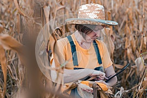 Female corn farmer using digital tablet in cornfield, smart farming