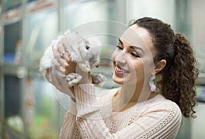 Female customer watching fluffy chinchilla in petshop